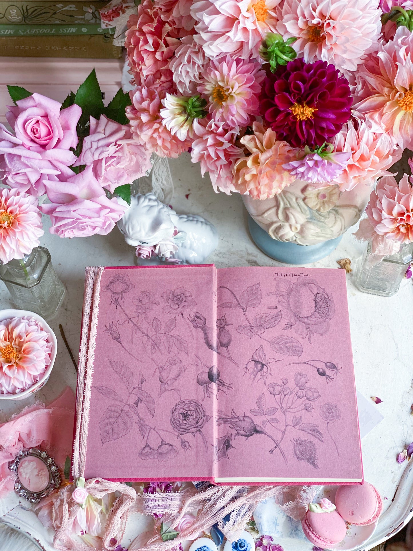 Shrub Roses for Every Garden - Pink Gardening Book