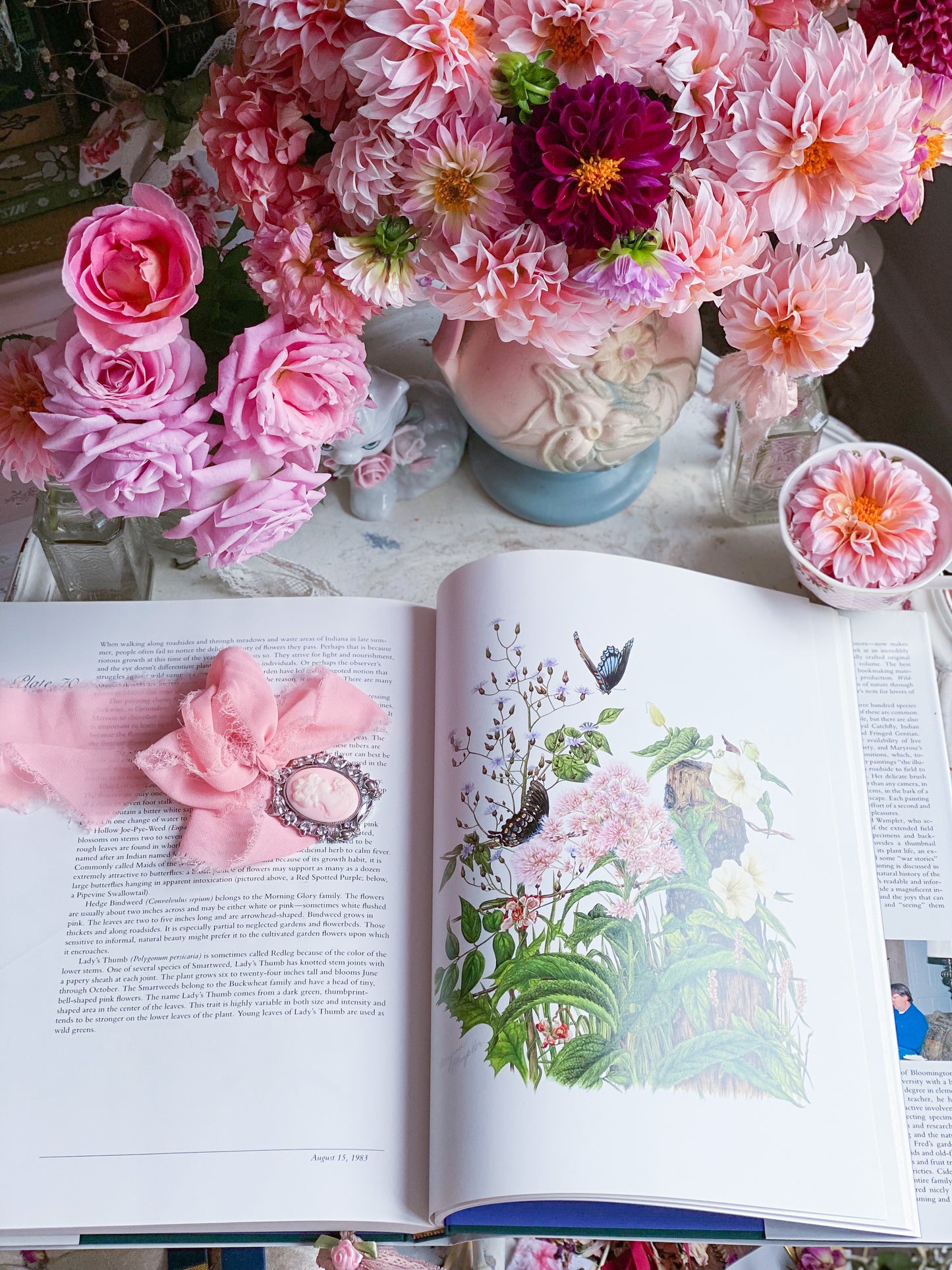 Wildflowers of Indiana Nature Art Book