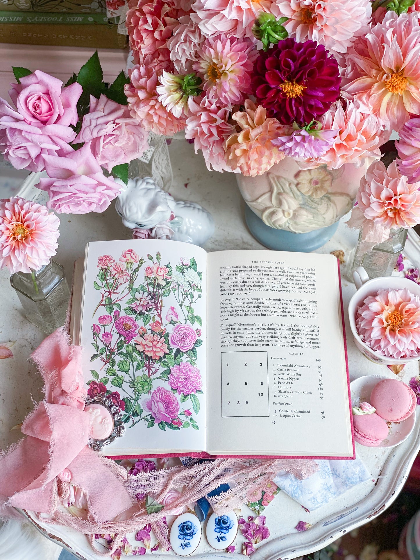 Shrub Roses for Every Garden - Pink Gardening Book