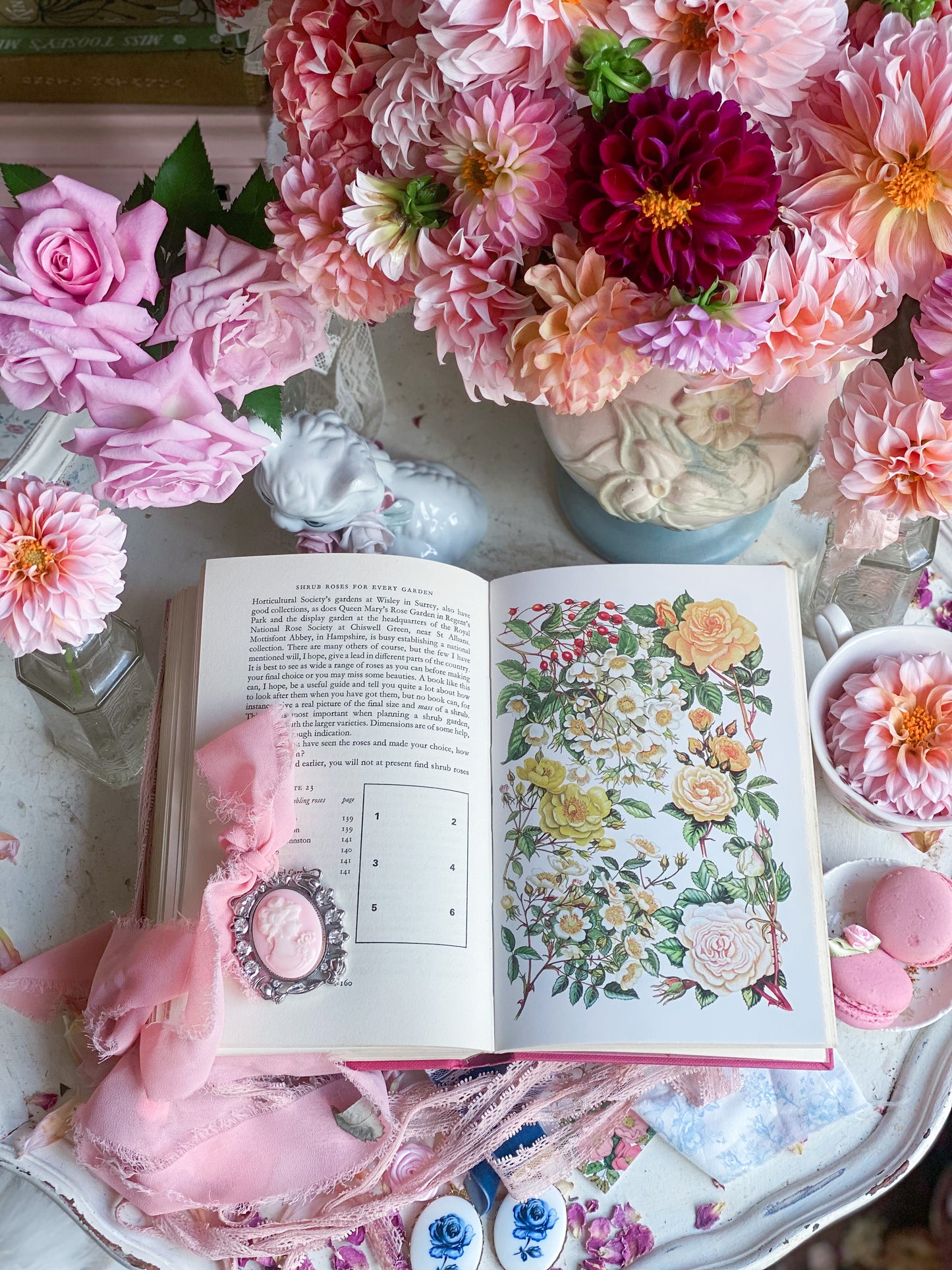 Shrub Roses for Every Garden - Pink Gardening Book