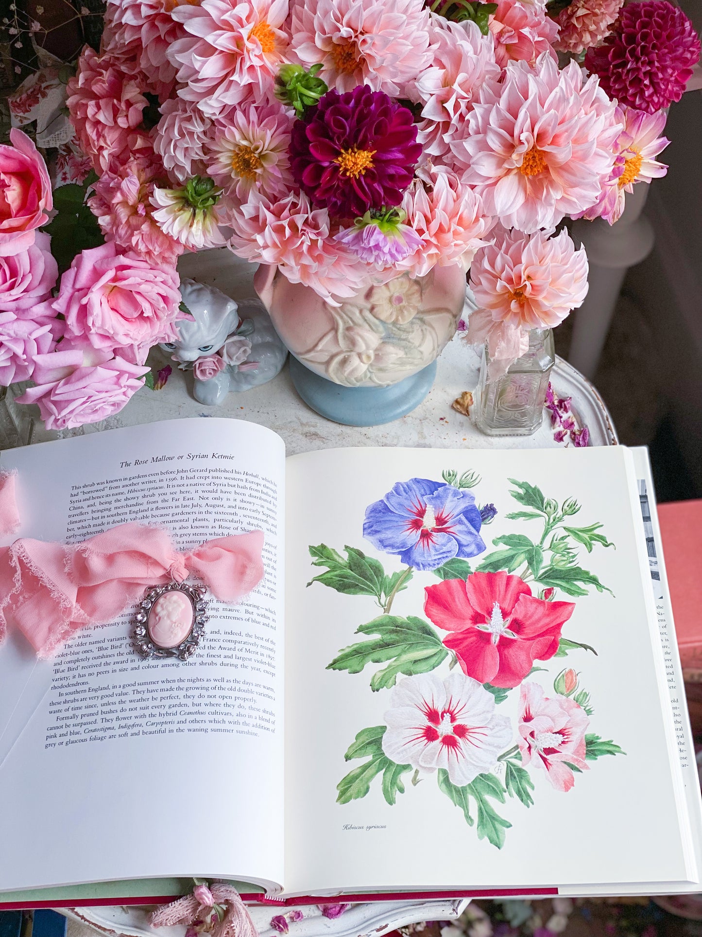 Complete Flower Paintings and Drawings of Graham Stuart Thomas