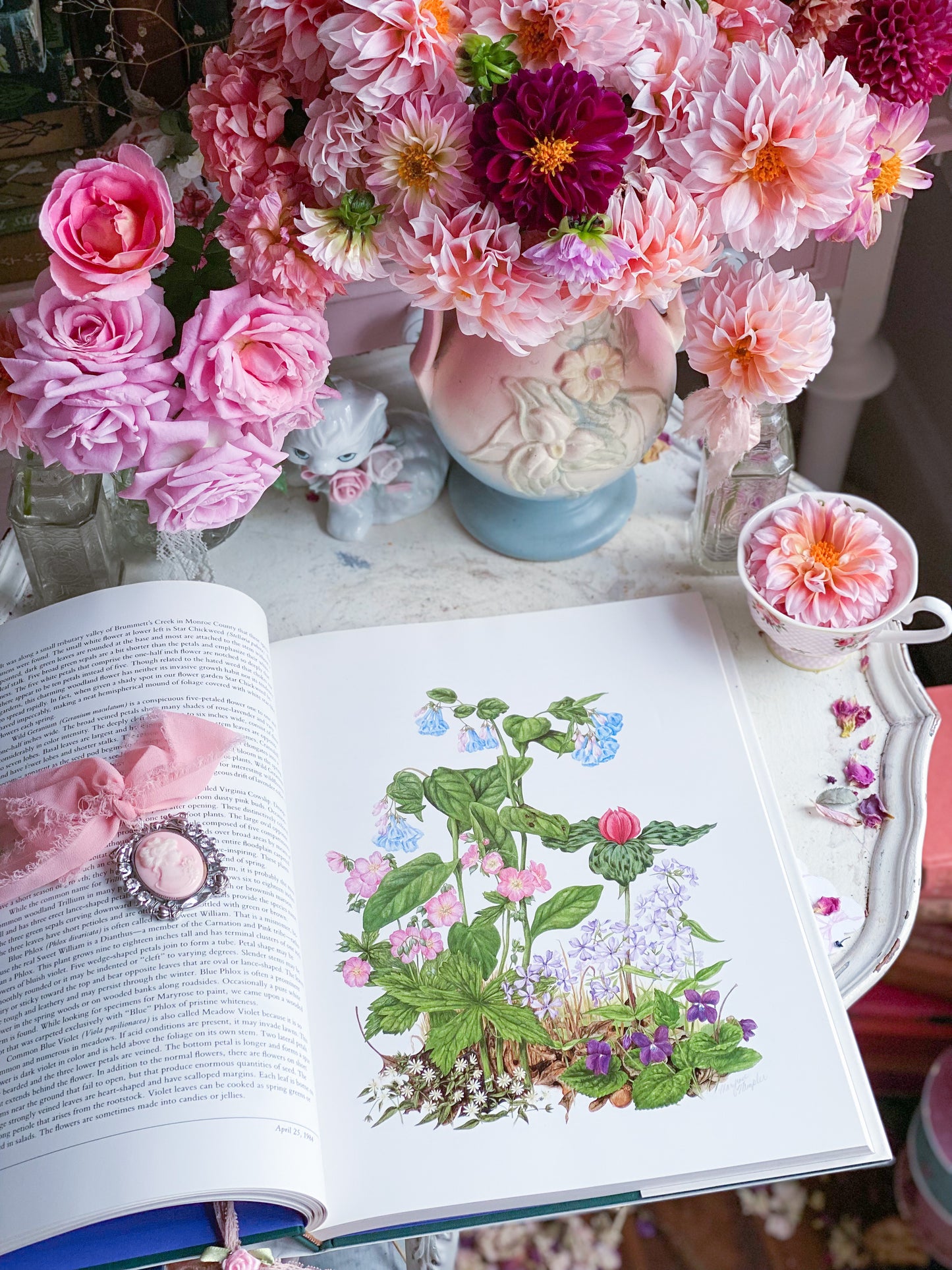 Wildflowers of Indiana Nature Art Book