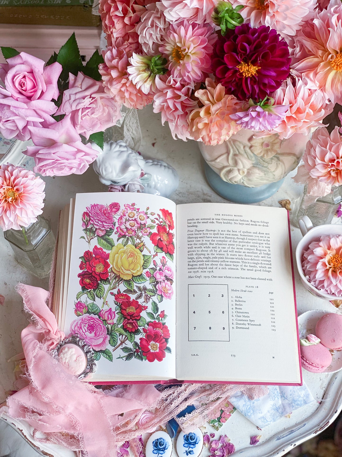 Shrub Roses for Every Garden - Pink Gardening Book