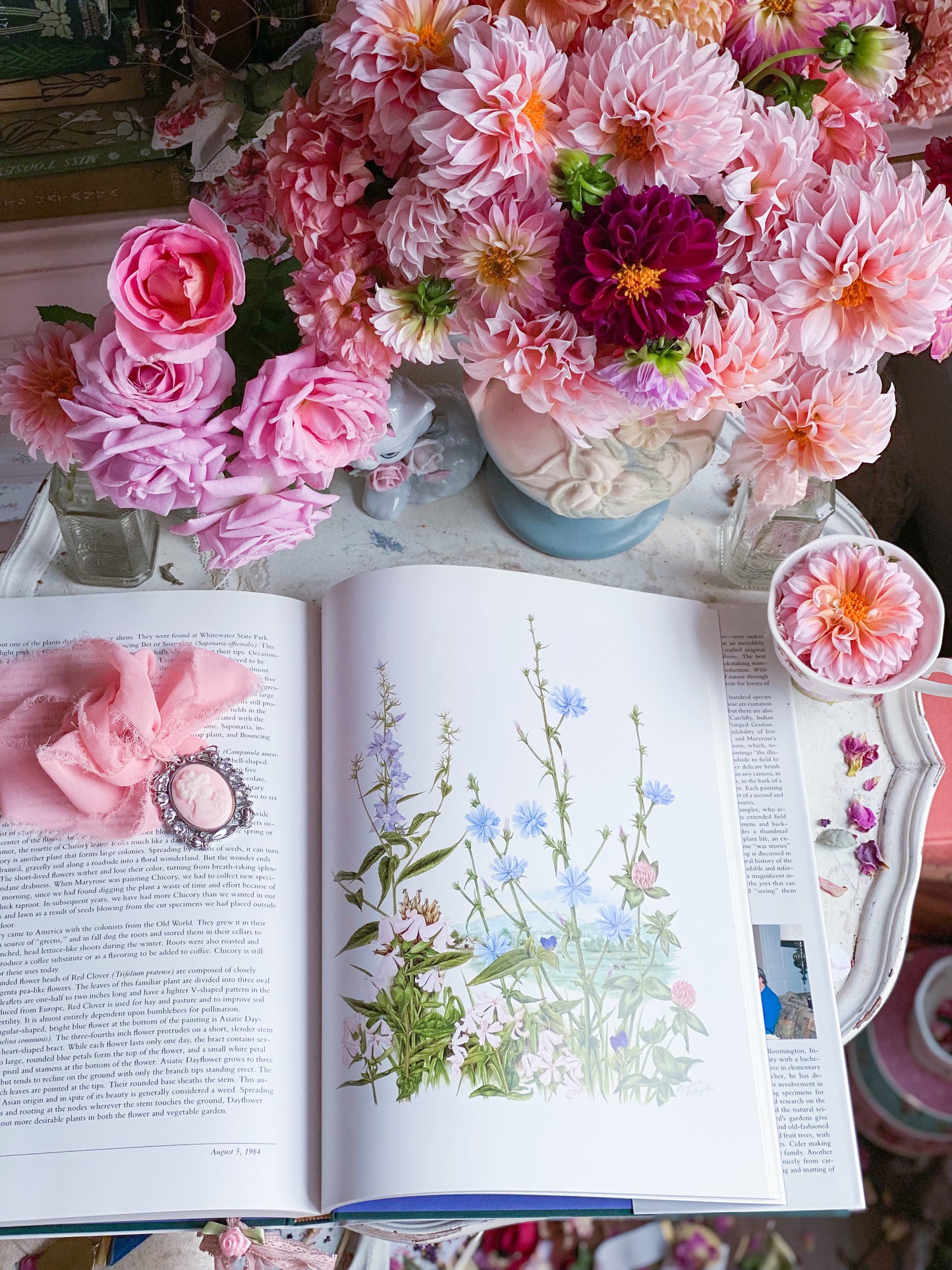 Wildflowers of Indiana Nature Art Book