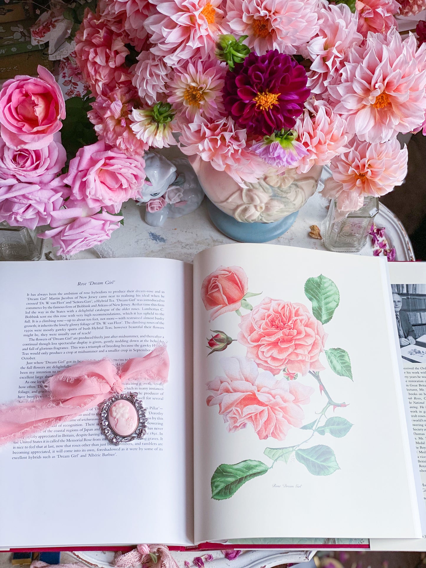 Complete Flower Paintings and Drawings of Graham Stuart Thomas