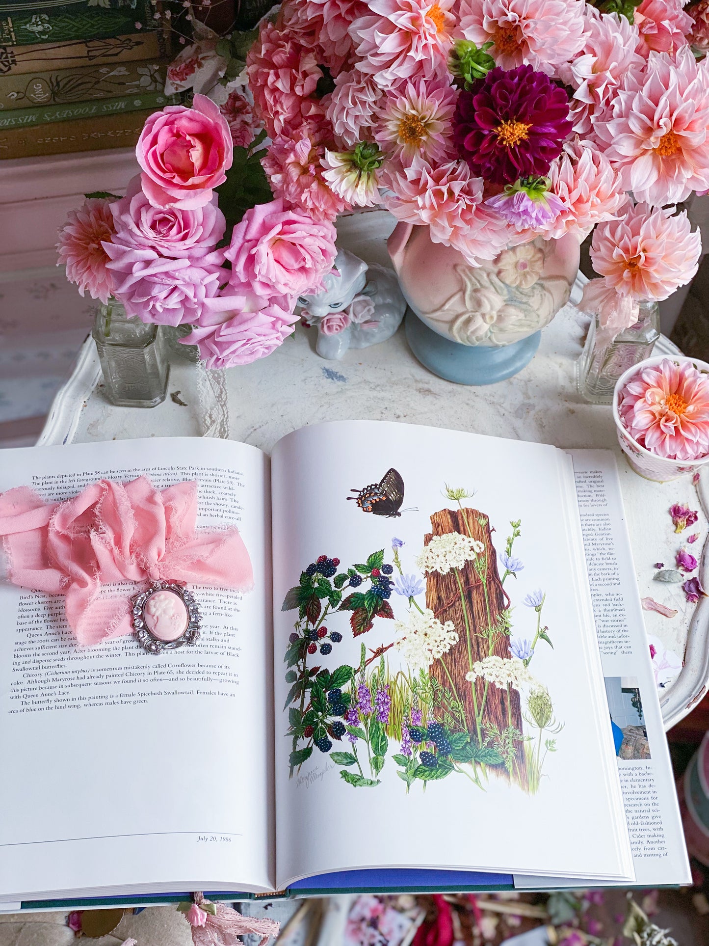 Wildflowers of Indiana Nature Art Book