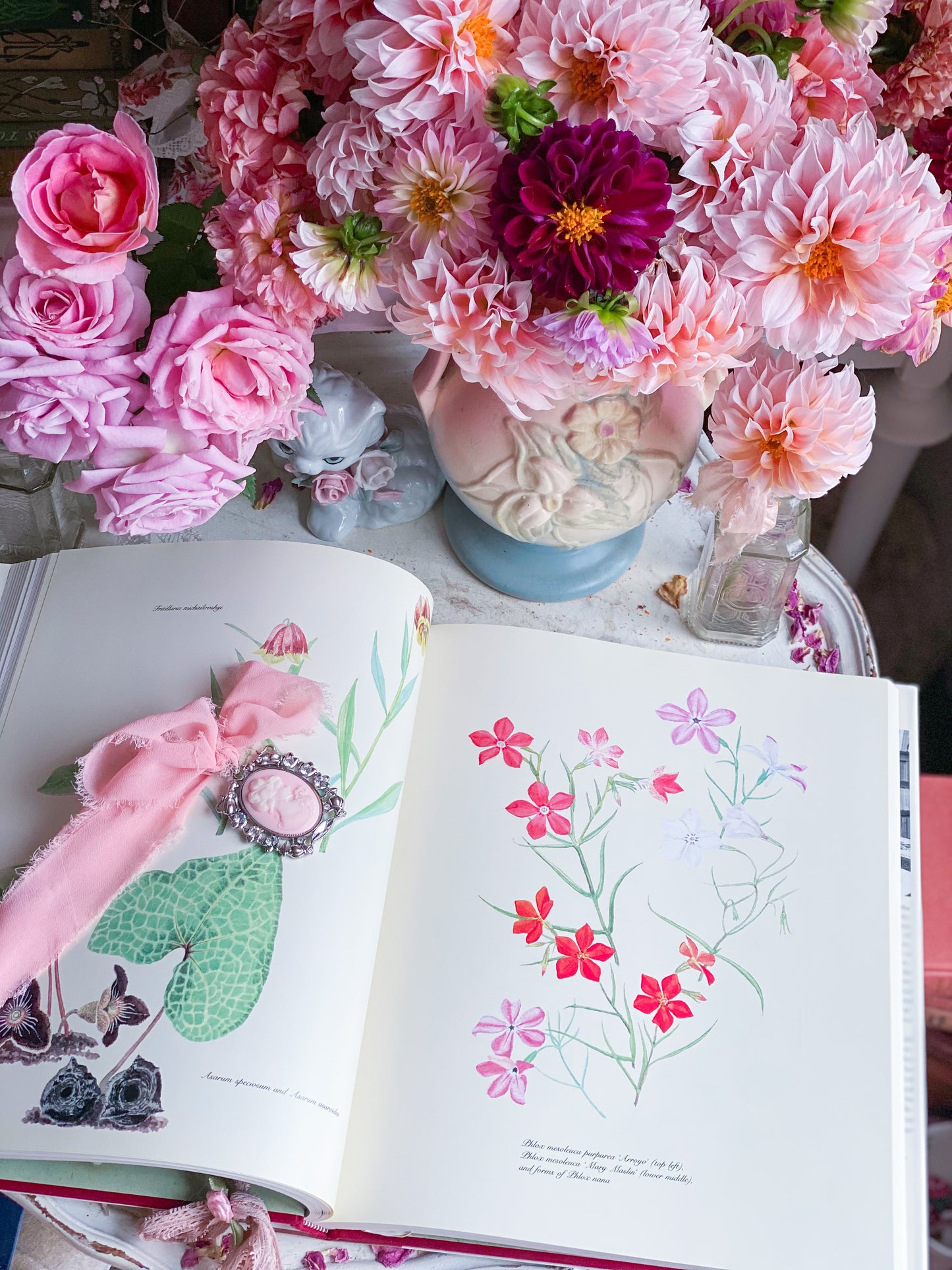 Complete Flower Paintings and Drawings of Graham Stuart Thomas