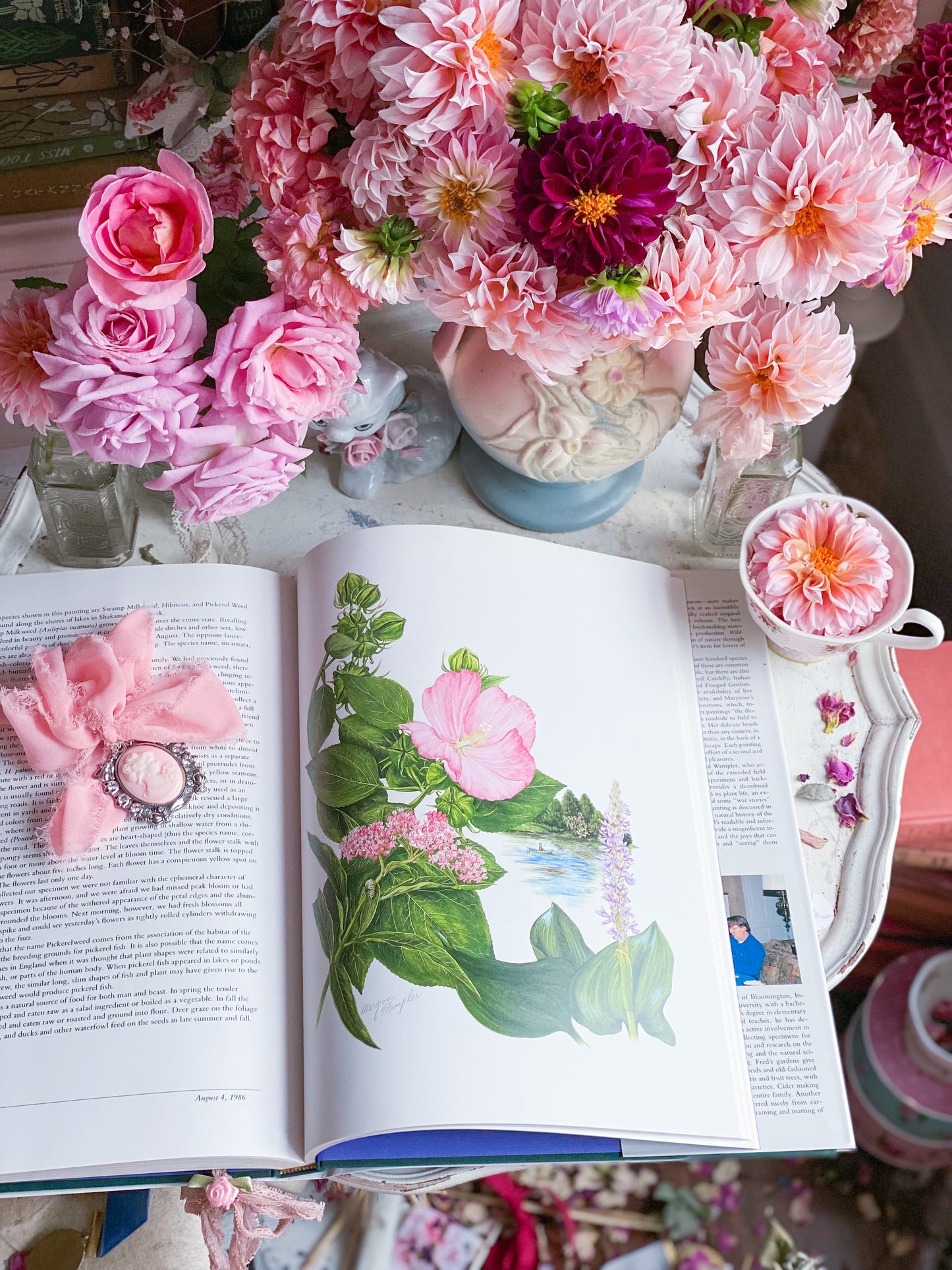 Wildflowers of Indiana Nature Art Book