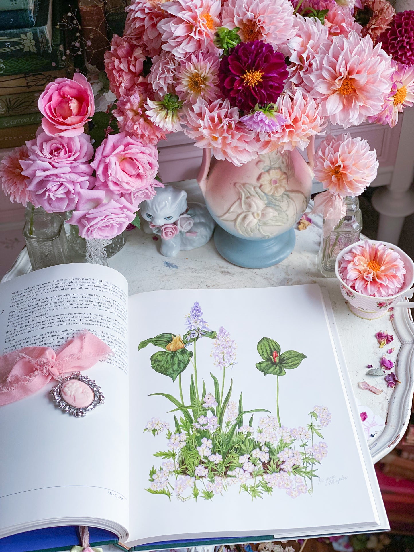 Wildflowers of Indiana Nature Art Book