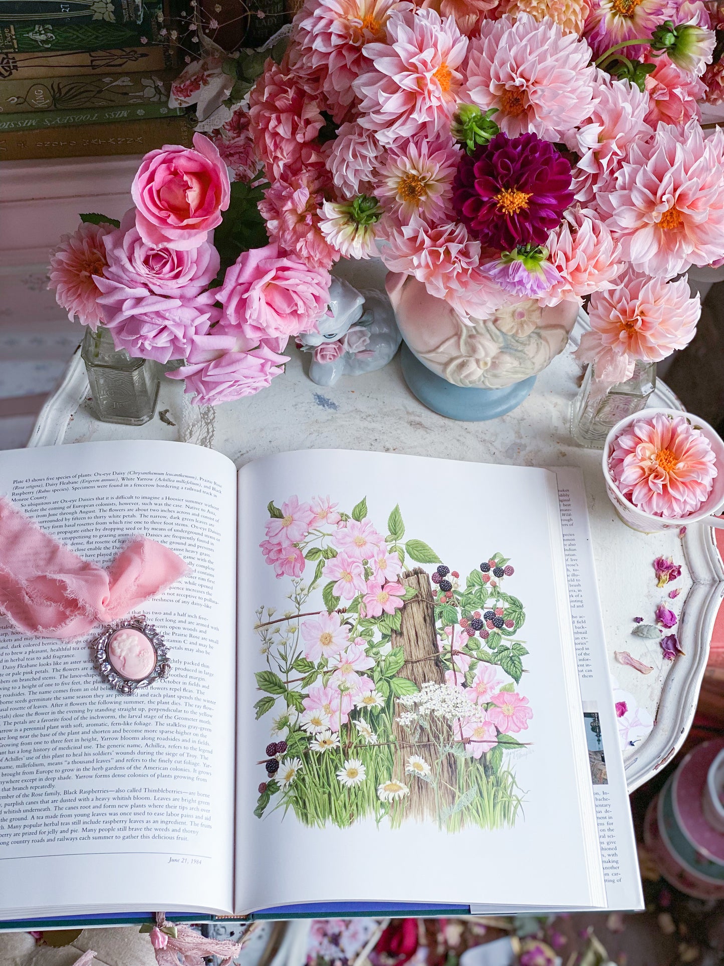 Wildflowers of Indiana Nature Art Book
