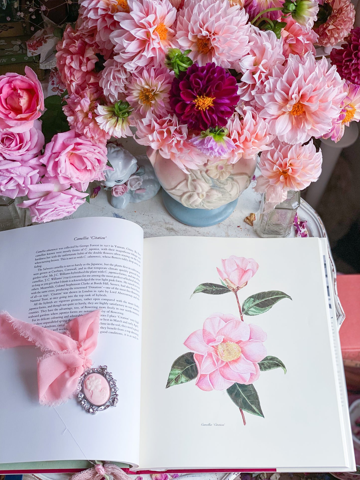 Complete Flower Paintings and Drawings of Graham Stuart Thomas