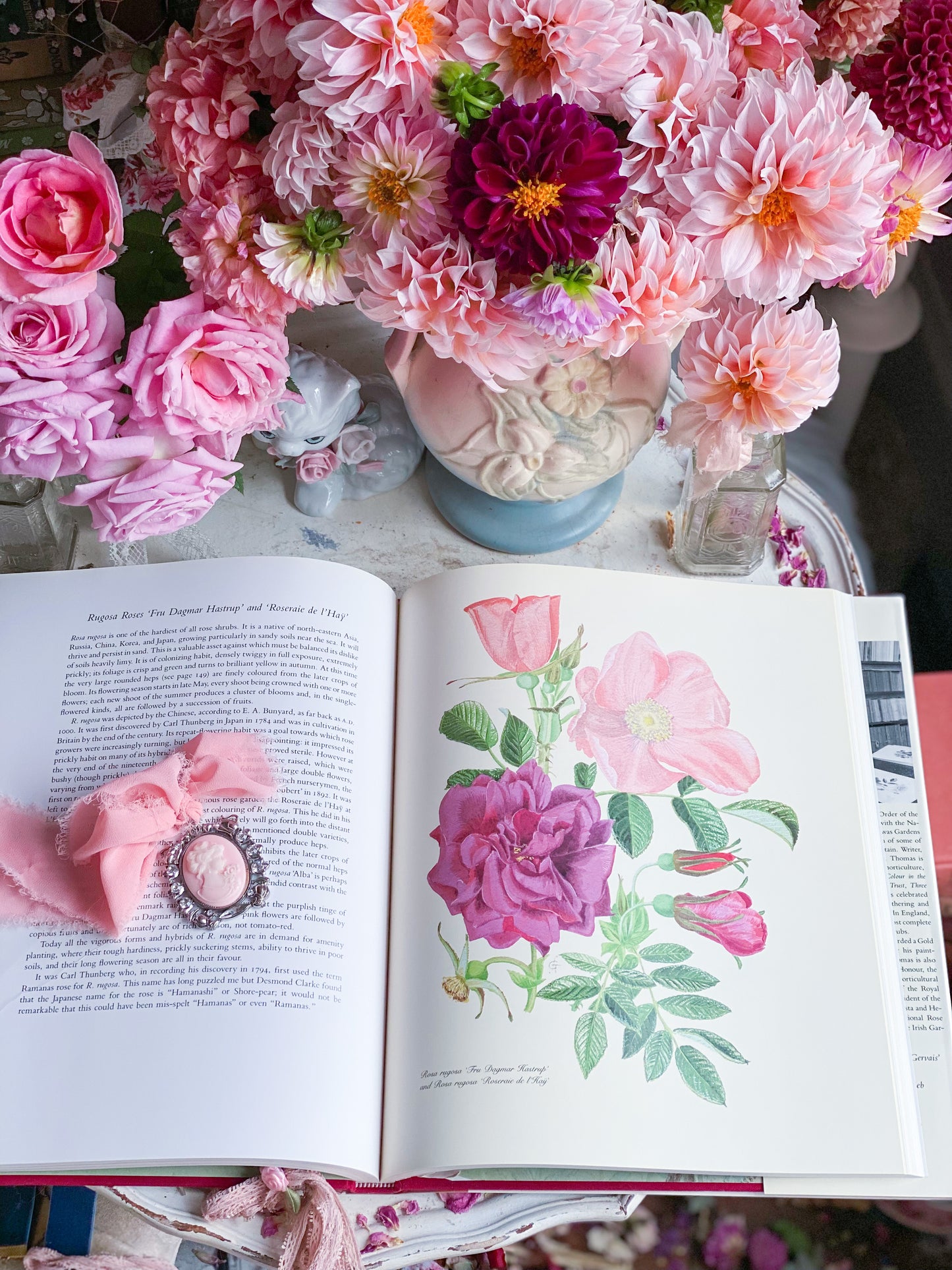 Complete Flower Paintings and Drawings of Graham Stuart Thomas