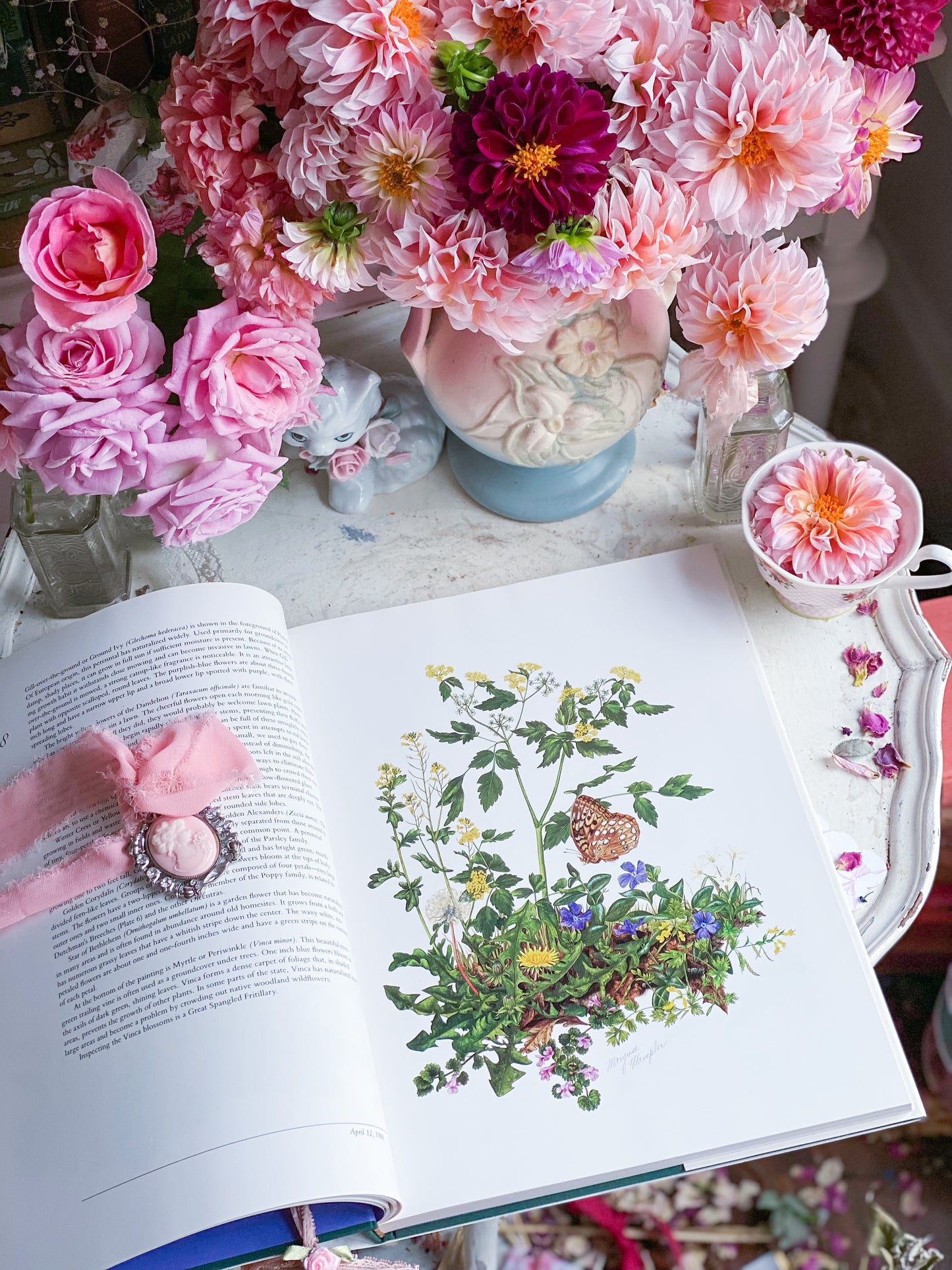 Wildflowers of Indiana Nature Art Book