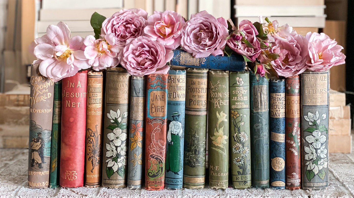 Lienzo envuelto en galería de espinas de libros vintage