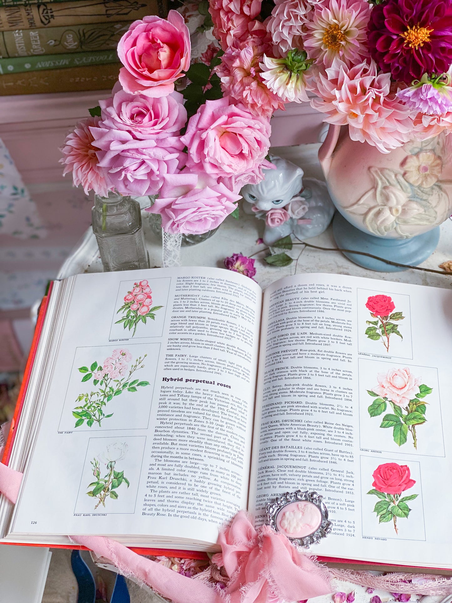 Rosas: una enciclopedia de la vida en el tiempo