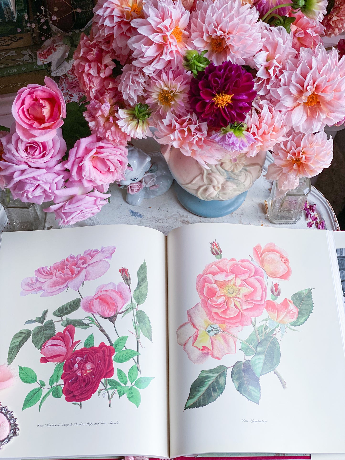 Pinturas y dibujos florales completos de Graham Stuart Thomas 