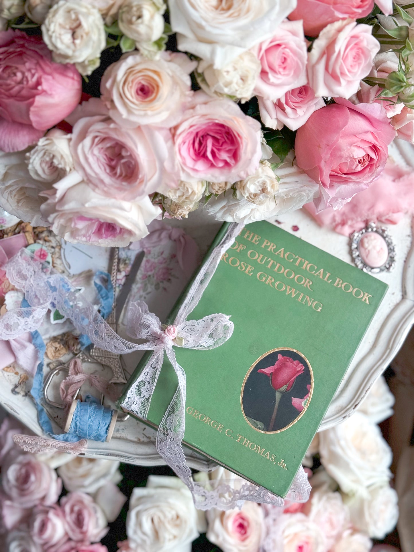 The Practical Book of Outdoor Rose Gardening