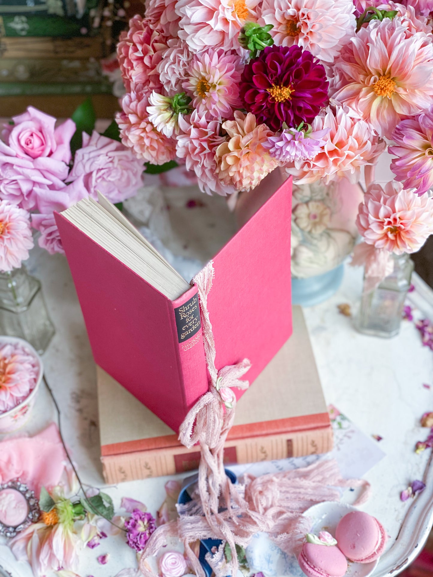 Strauchrosen für jeden Garten – Pink Gardening Book