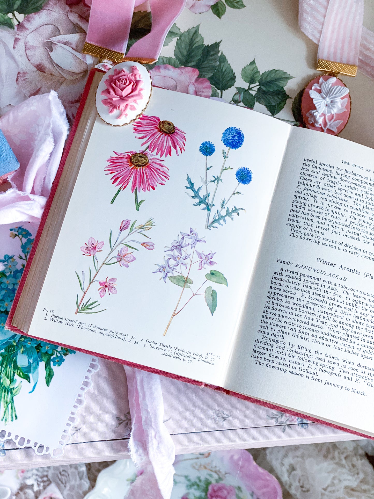 Pink Book of Garden Flowers