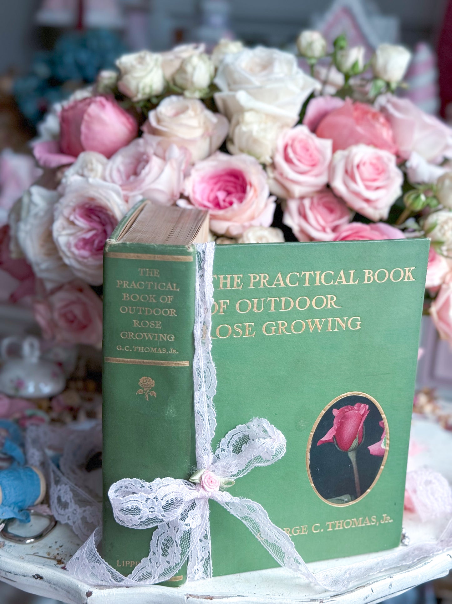 The Practical Book of Outdoor Rose Gardening