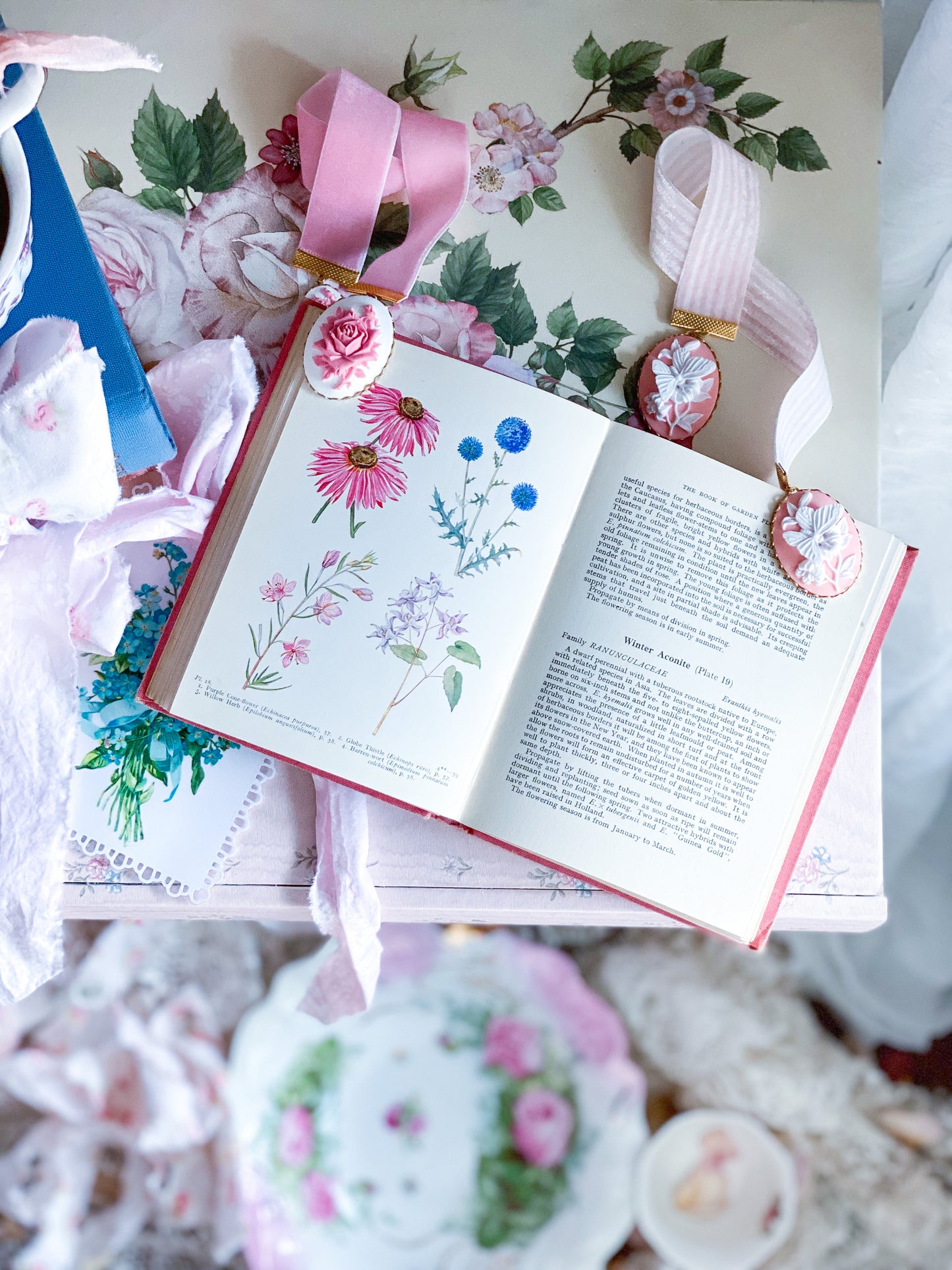 Pink Book of Garden Flowers