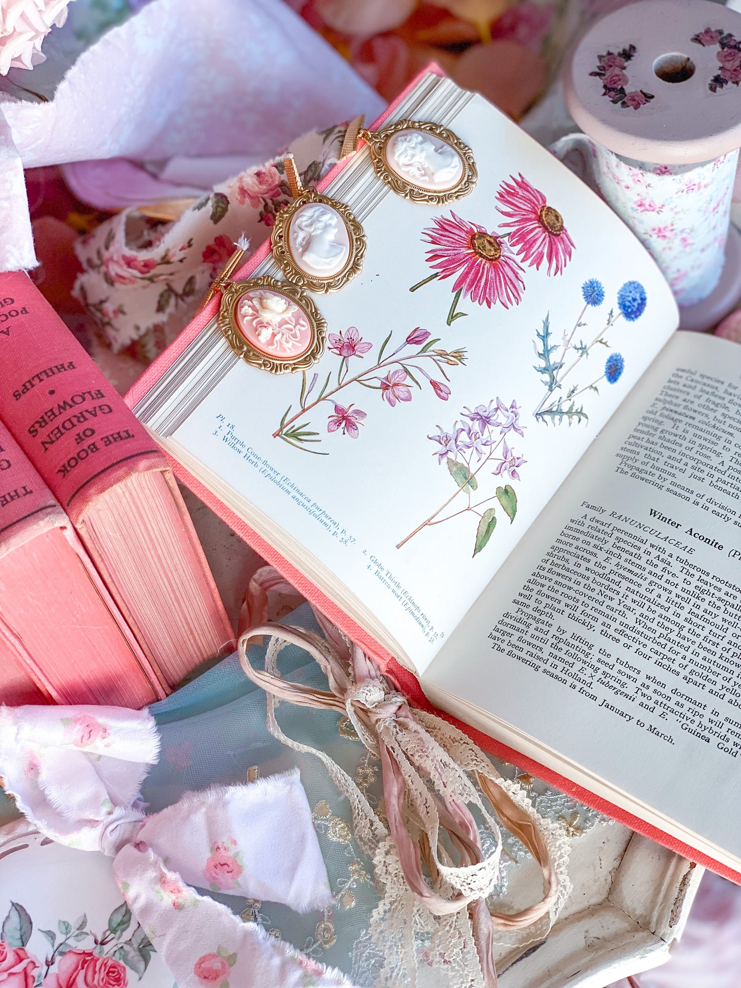 Pink Book of Garden Flowers