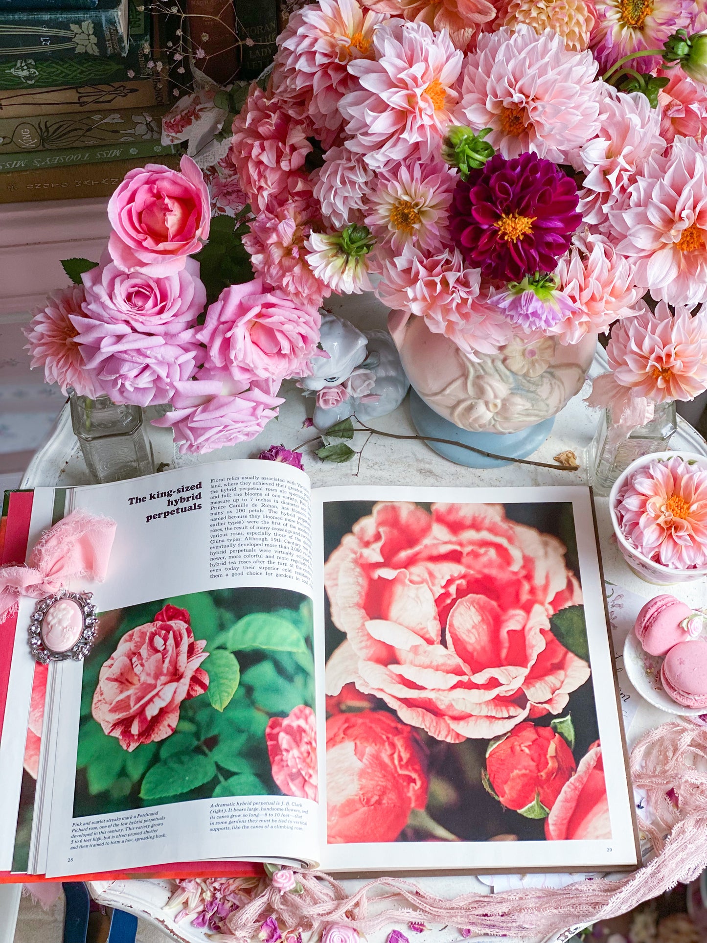 Rosas: una enciclopedia de la vida en el tiempo