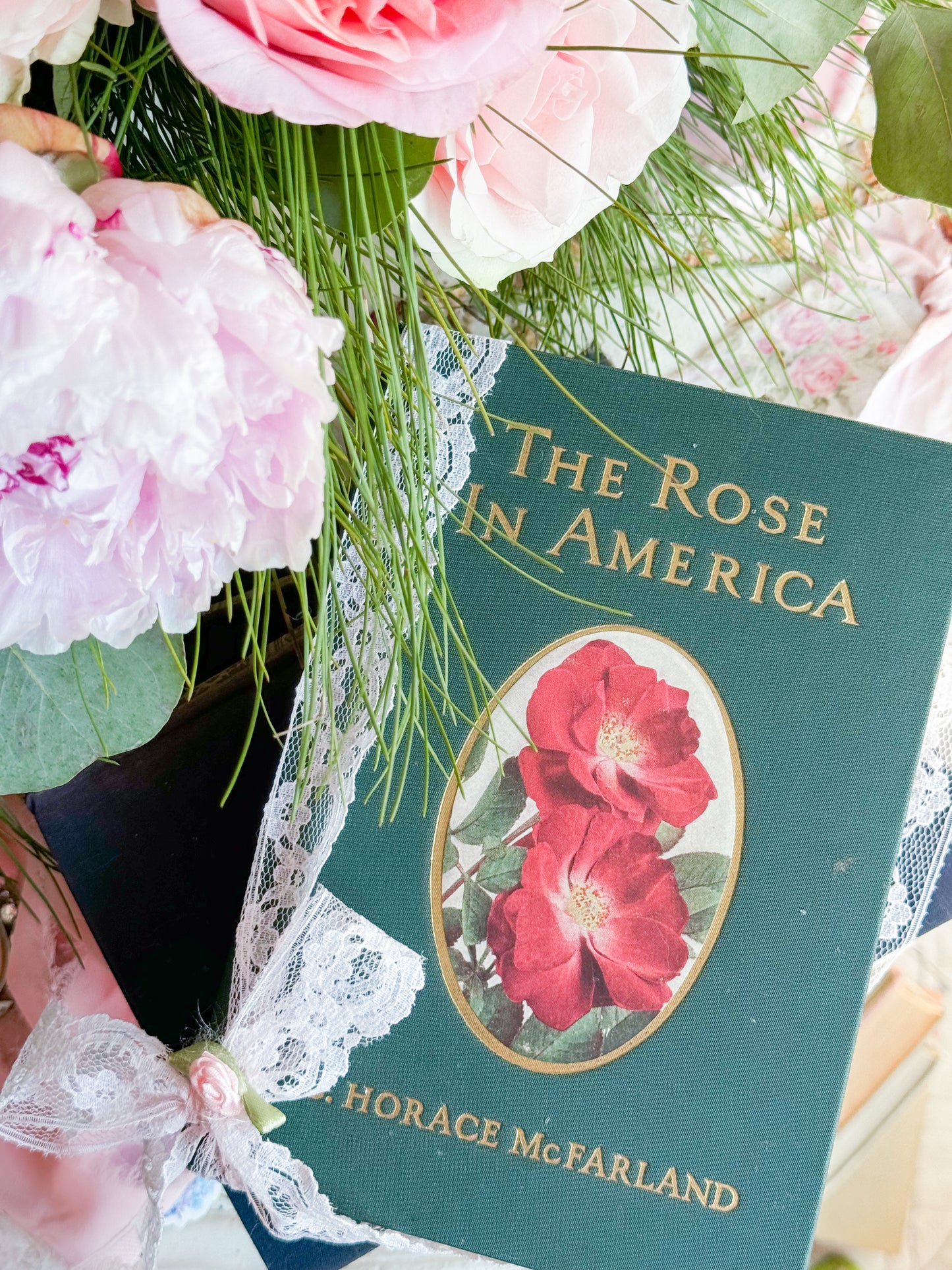 The Rose In America by Horace McFarland