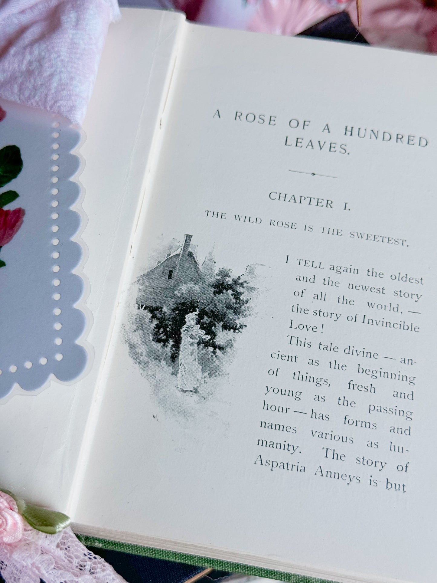 A Rose of A Hundred Leaves with Pink Rose Wreath Garland; First Edition