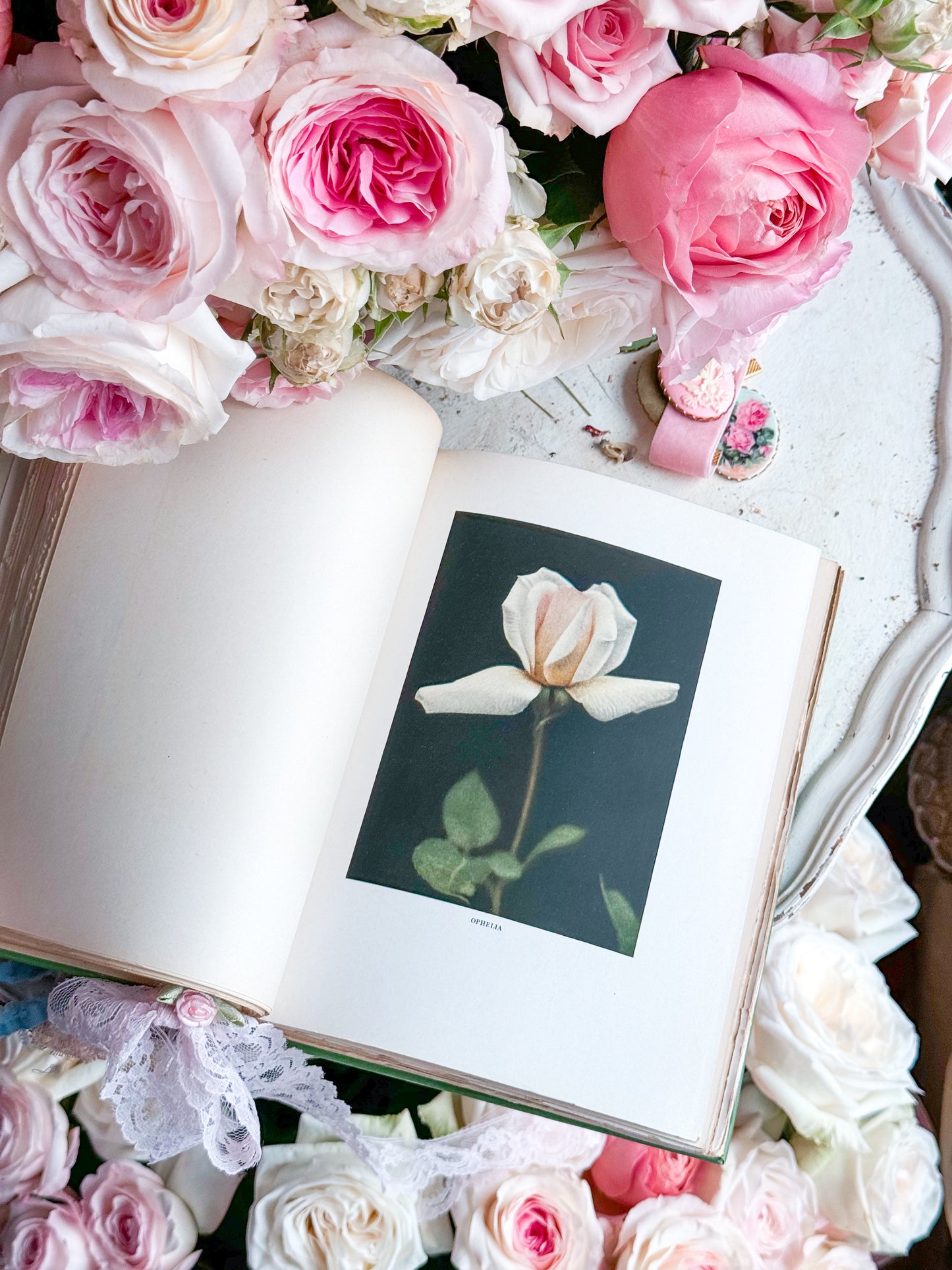 The Practical Book of Outdoor Rose Gardening