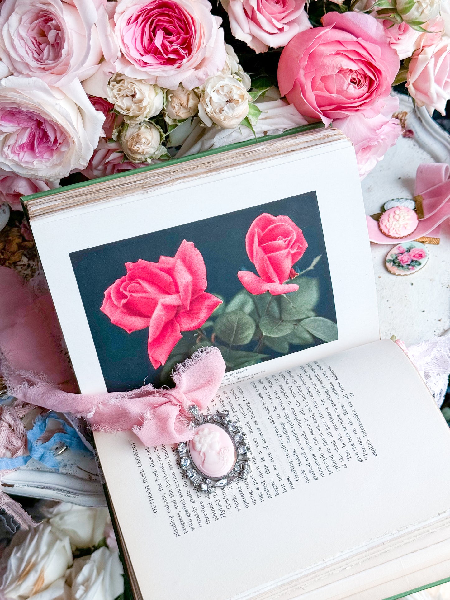 The Practical Book of Outdoor Rose Gardening