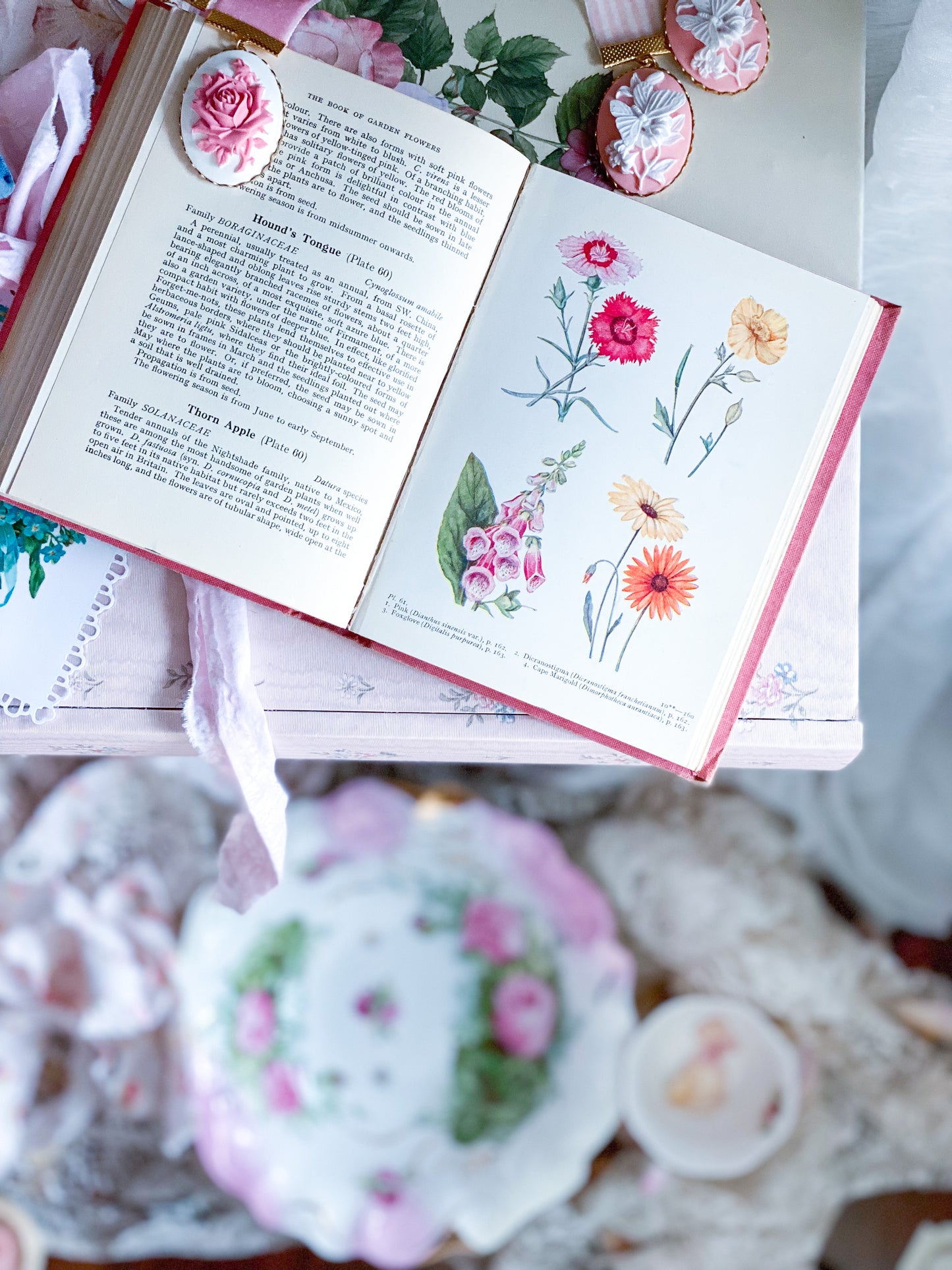 Pink Book of Garden Flowers