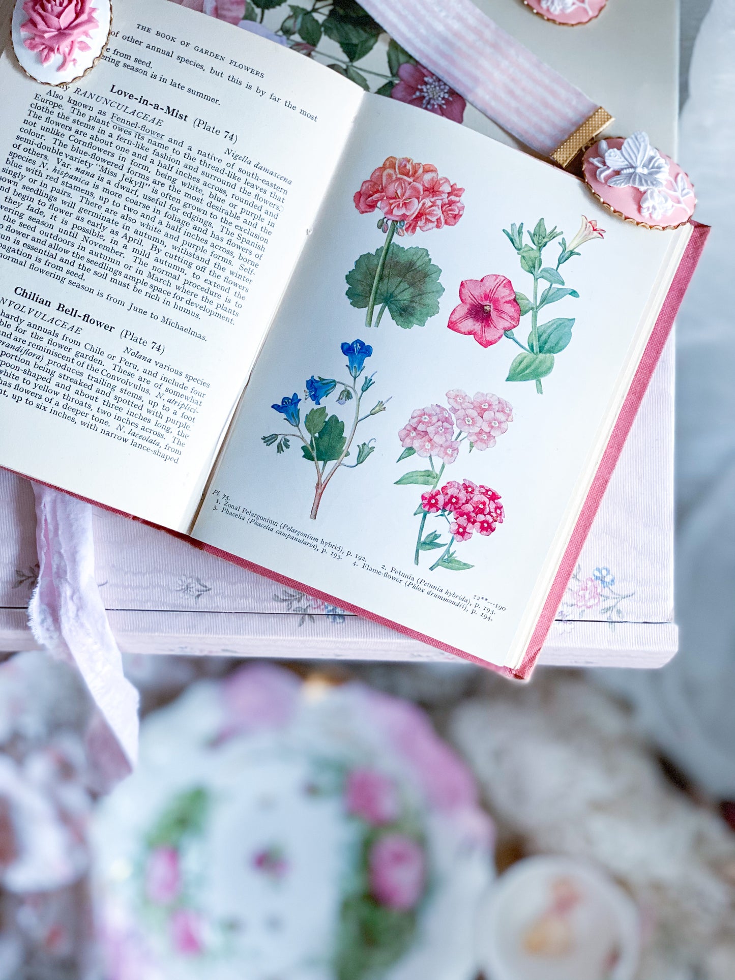 Pink Book of Garden Flowers