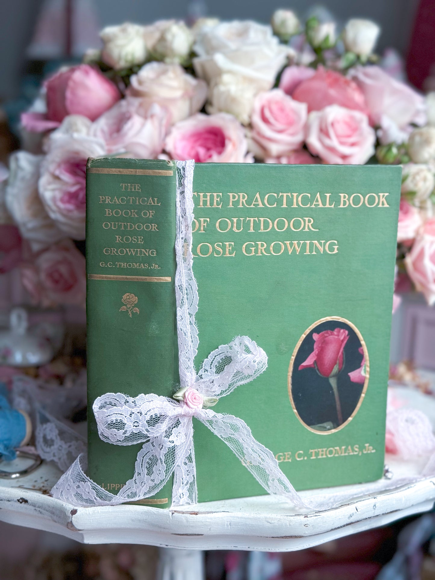 The Practical Book of Outdoor Rose Gardening