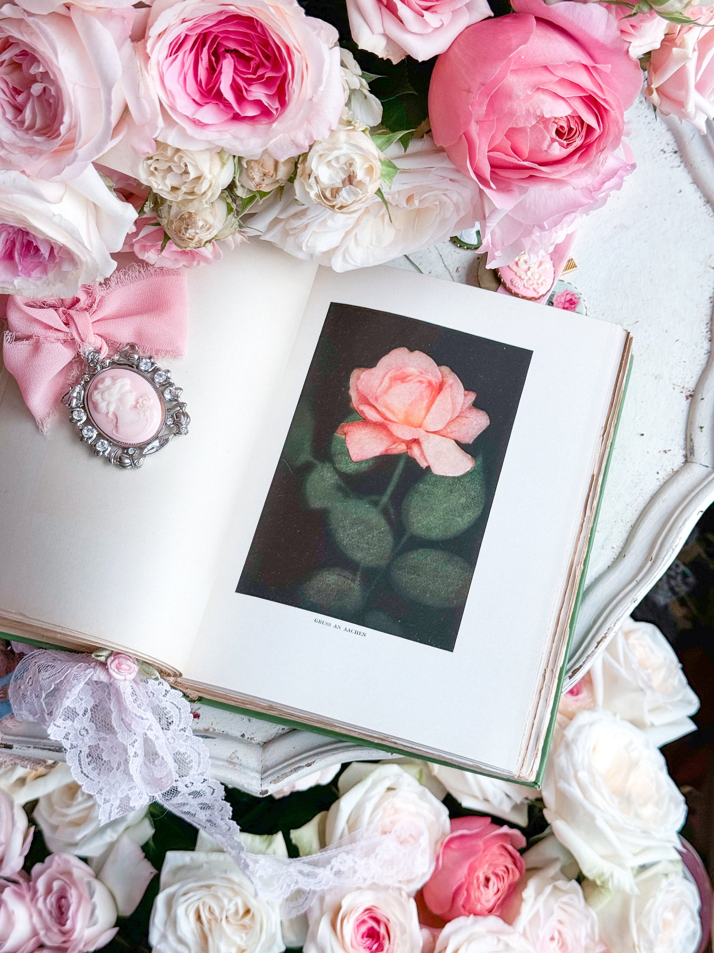 The Practical Book of Outdoor Rose Gardening