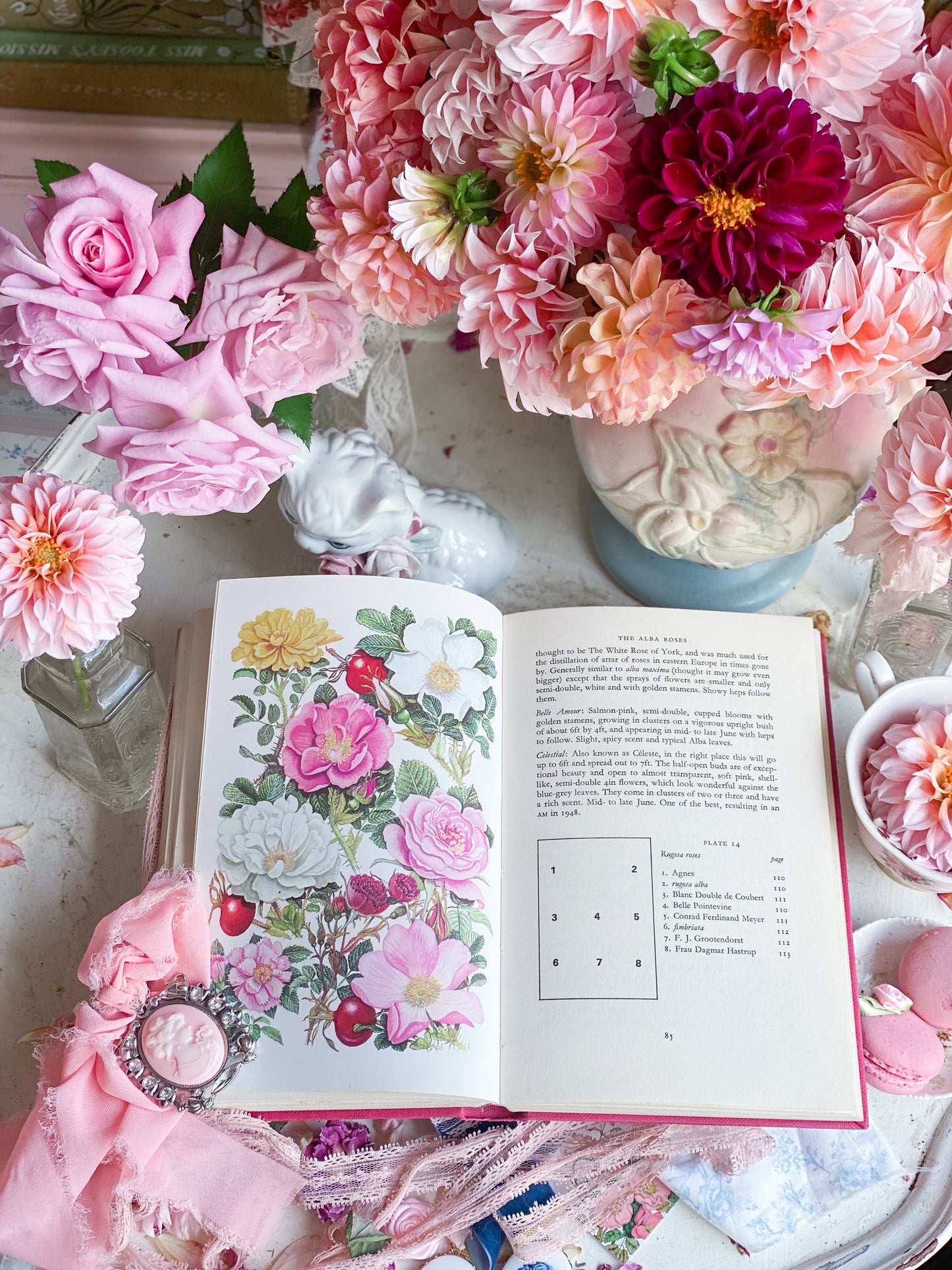 Rosas arbustivas para cada jardín - Libro de jardinería rosa