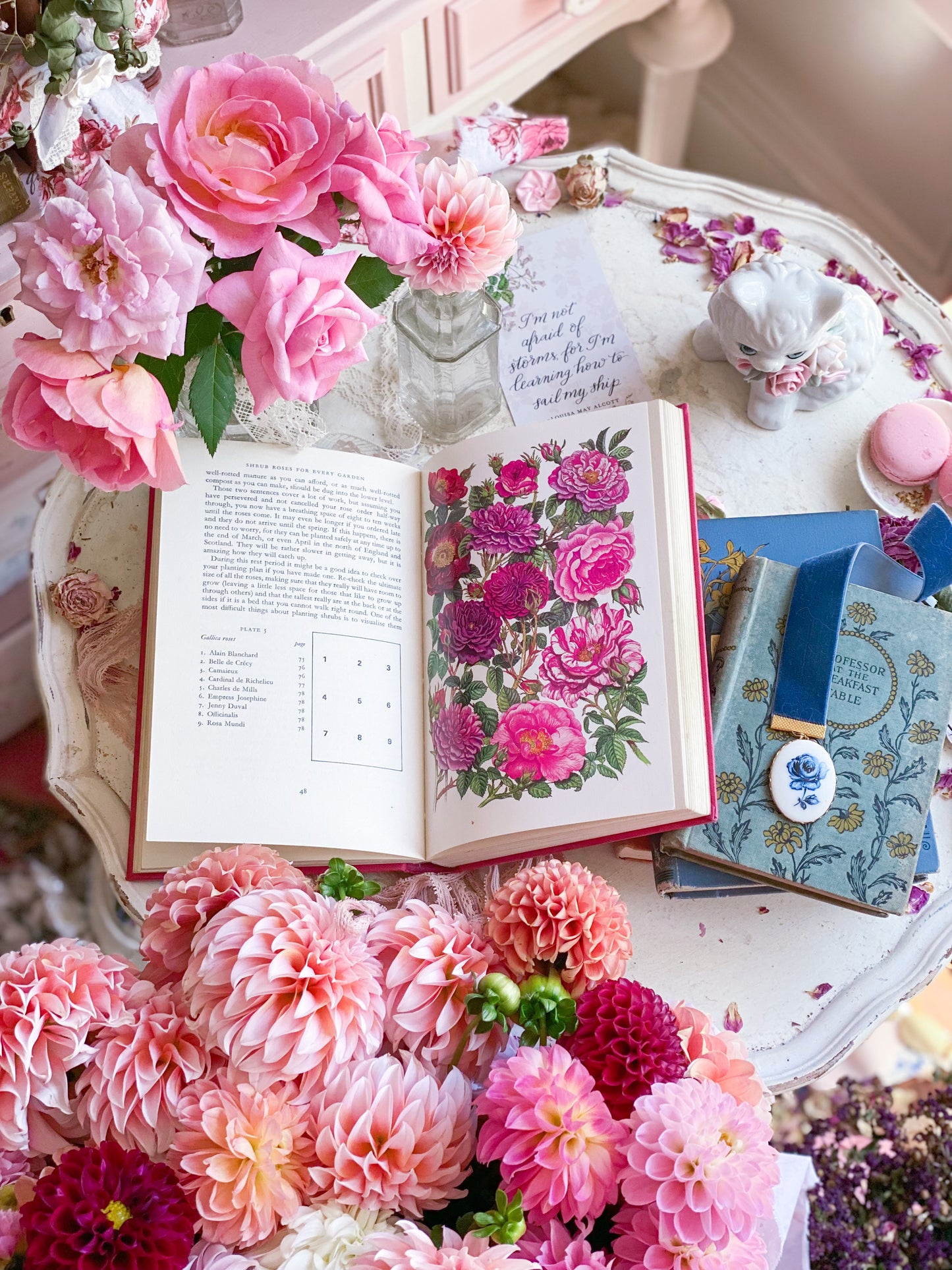 Strauchrosen für jeden Garten – Pink Gardening Book