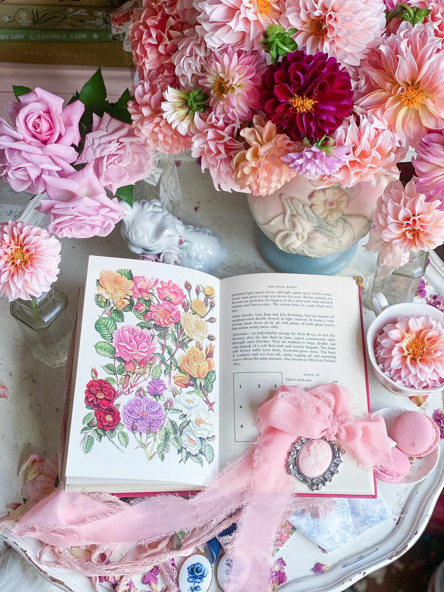 Shrub Roses for Every Garden - Pink Gardening Book