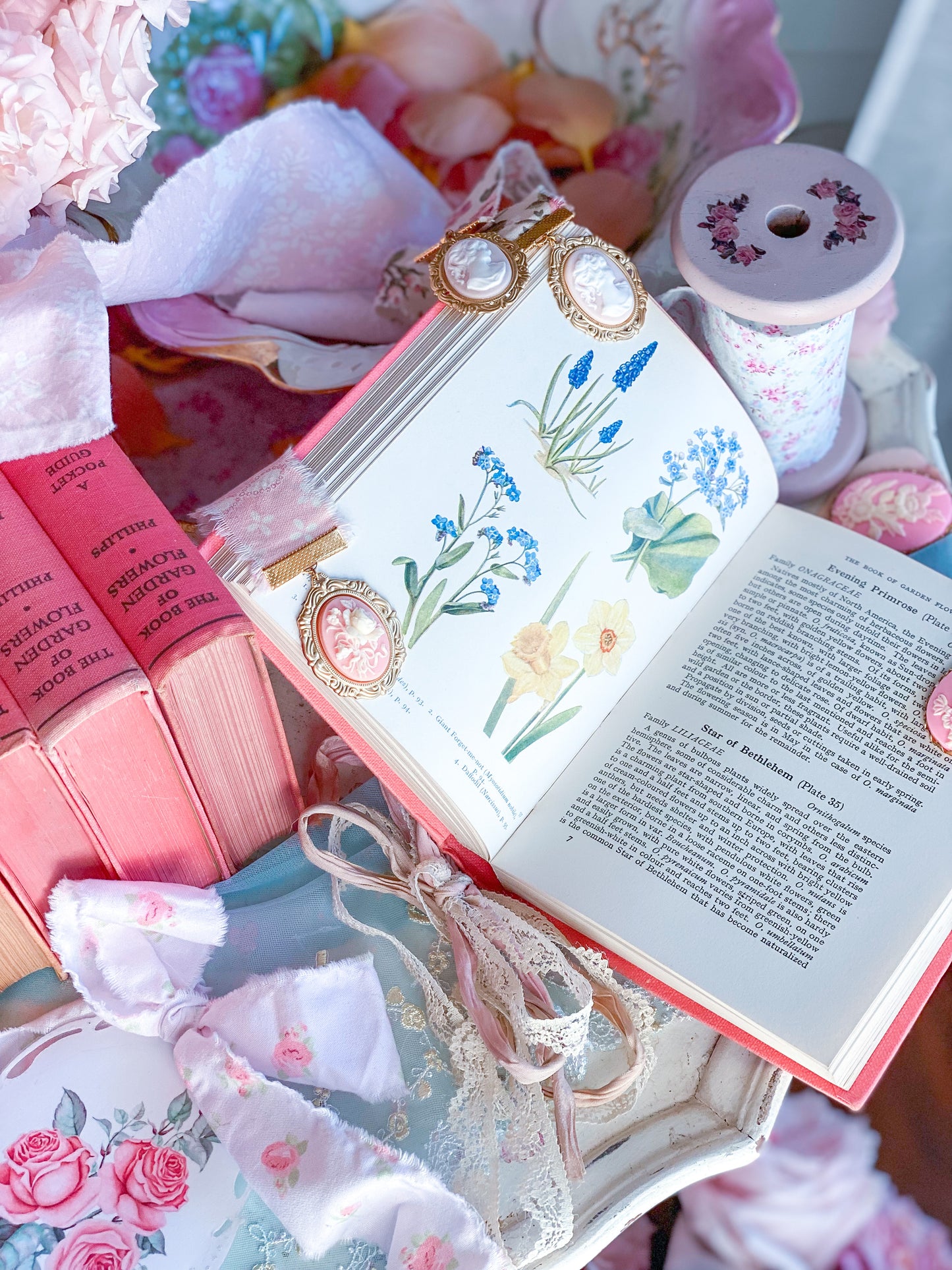 Pink Book of Garden Flowers