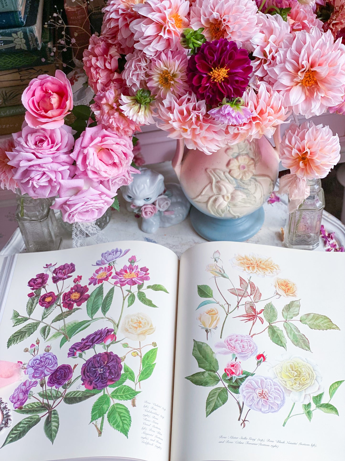 Vollständige Blumengemälde und Zeichnungen von Graham Stuart Thomas 