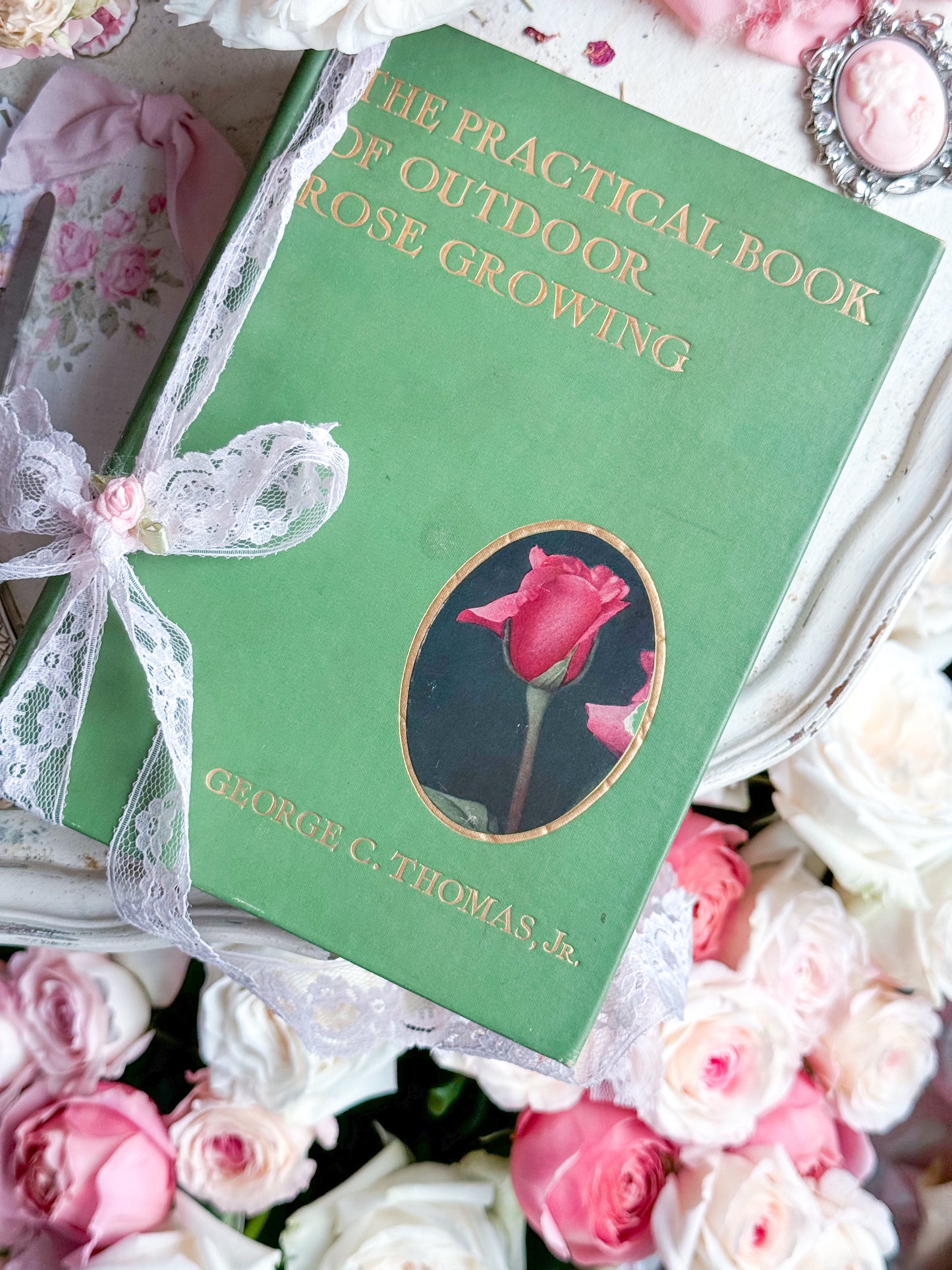 The Practical Book of Outdoor Rose Gardening