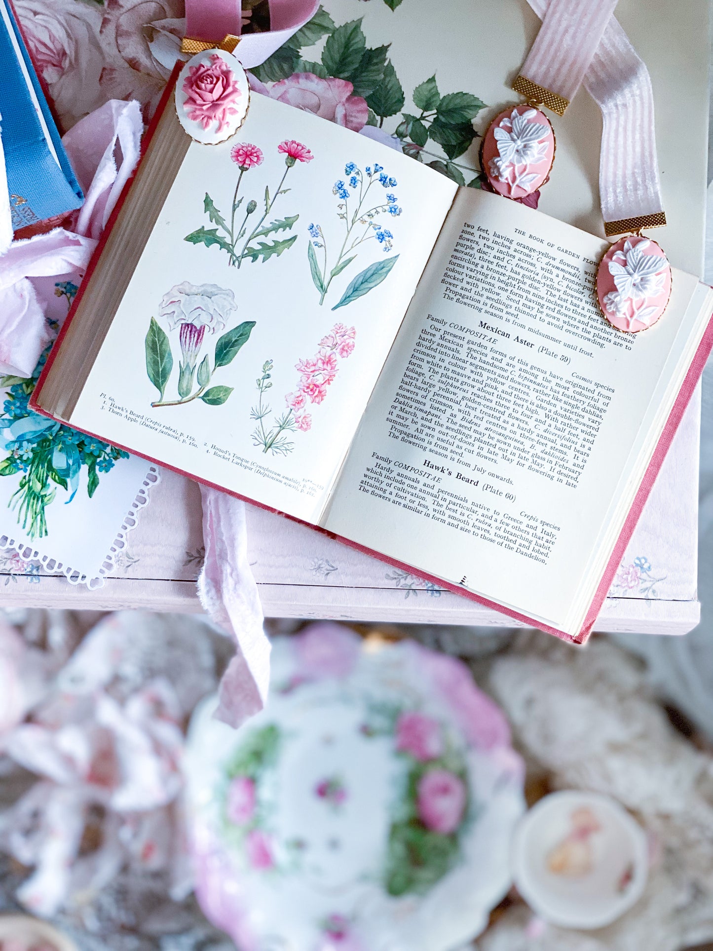 Pink Book of Garden Flowers