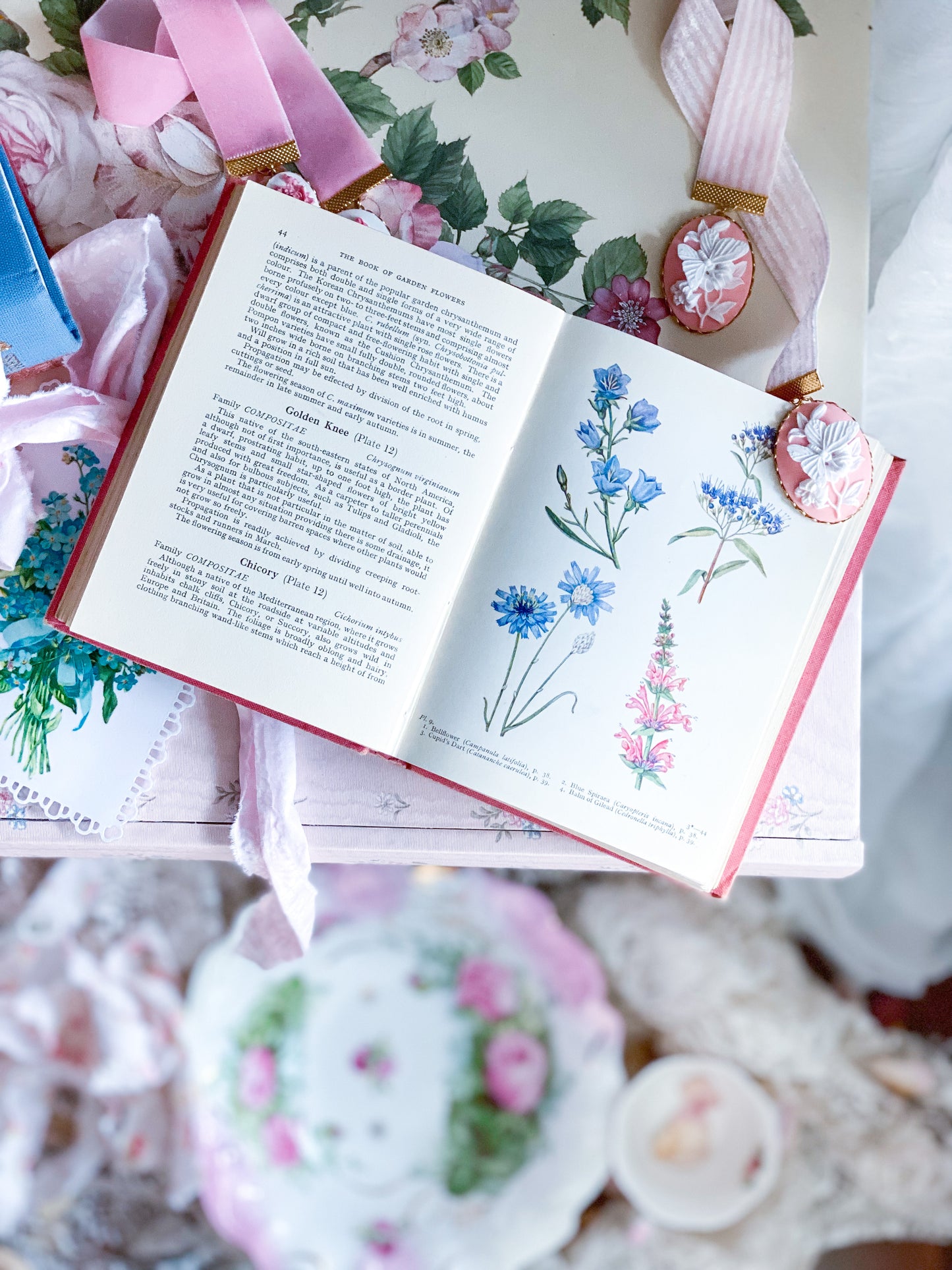 Pink Book of Garden Flowers