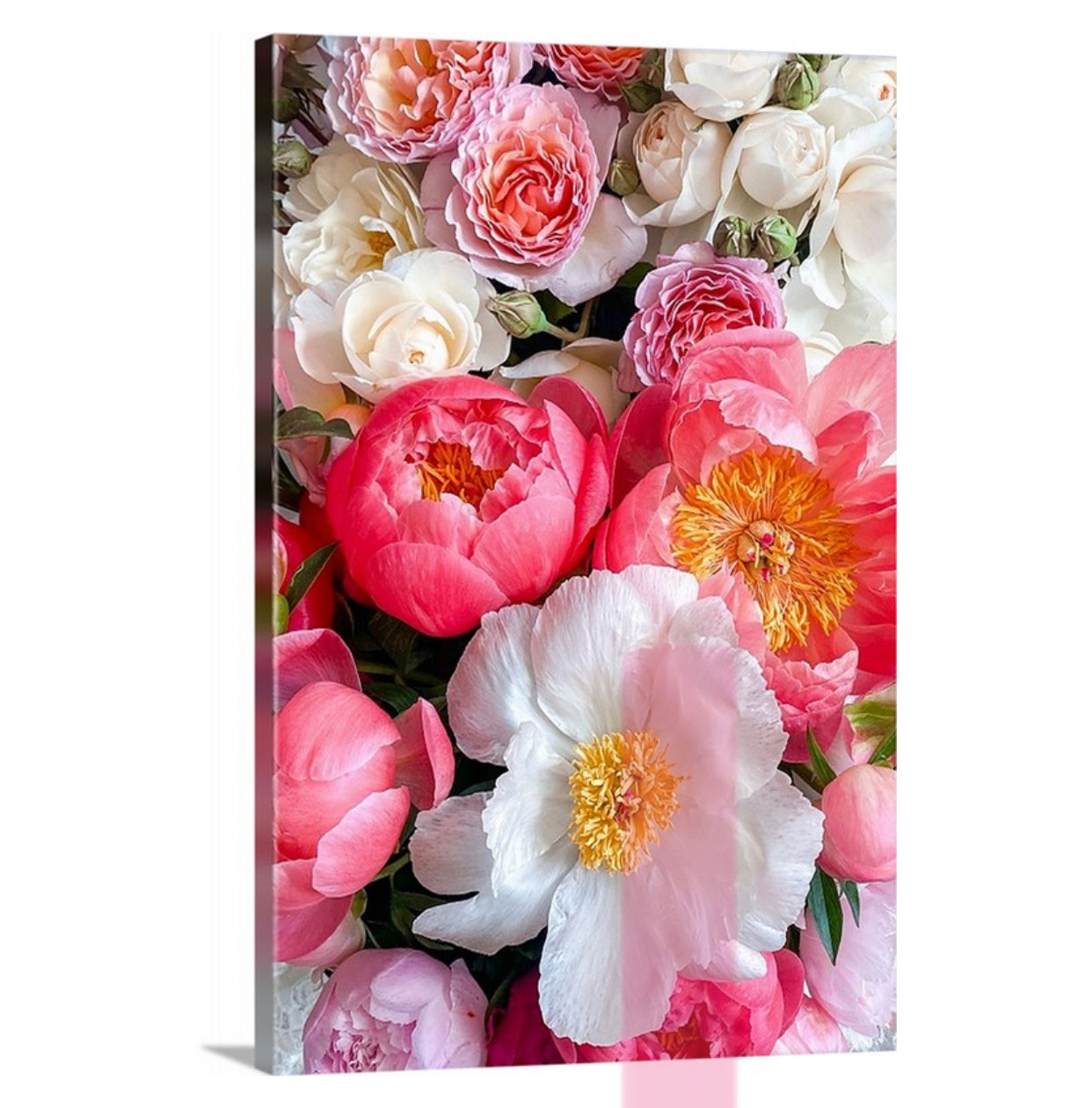 White and Pink Peonies Gallery Wrapped Canvas