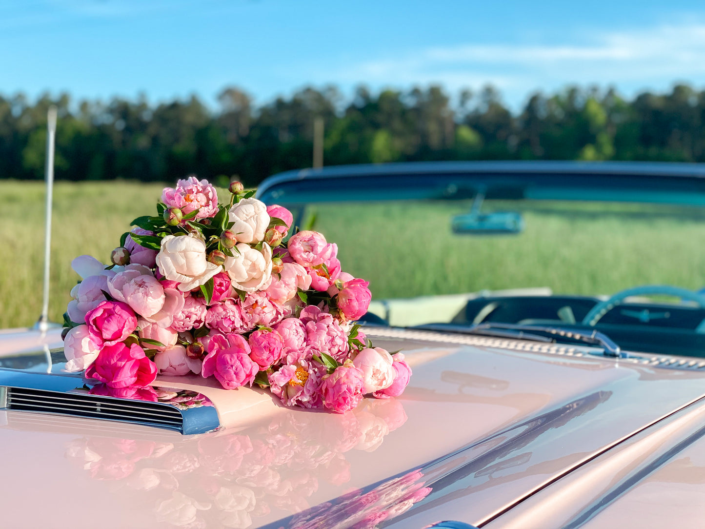 Peonies on Pink Classic Car Gallery Wrapped Canvas