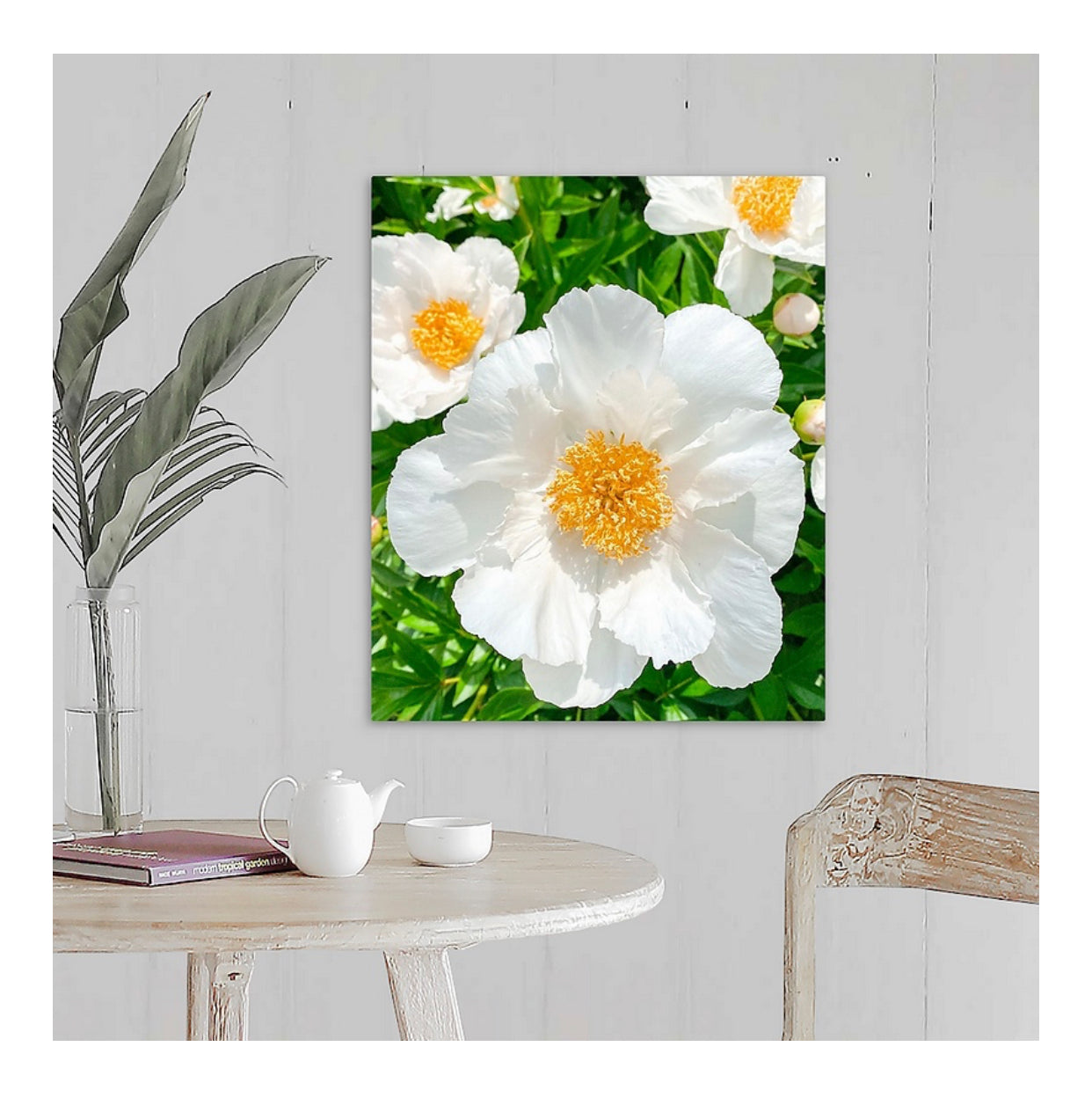 White Peonies Gallery Wrapped Canvas