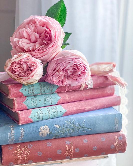 Pink and Blue Books with Roses Gallery Wrapped Canvas