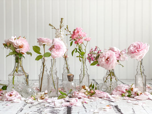 Lienzo envuelto en galería de rosas rosadas en jarrones de brotes