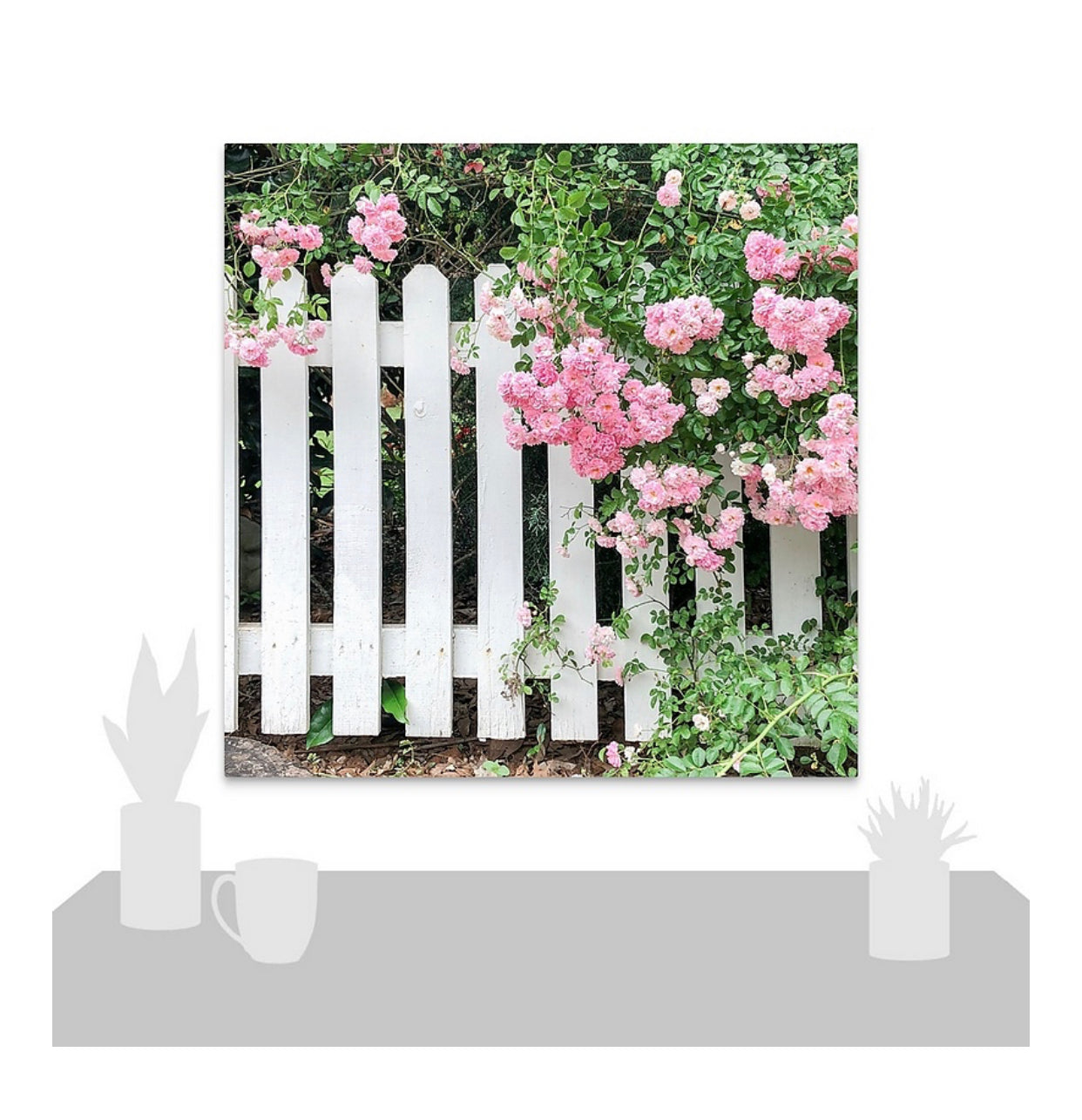 Valla de piquete blanca y lienzo envuelto en galería de rosas rosadas