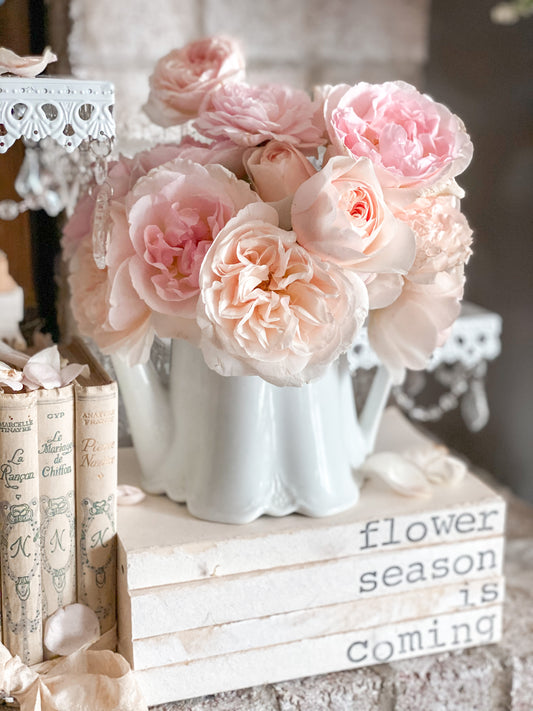 Lienzo envuelto en galería de rosas ruborizadas en tetera blanca
